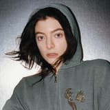 Lorde artist image